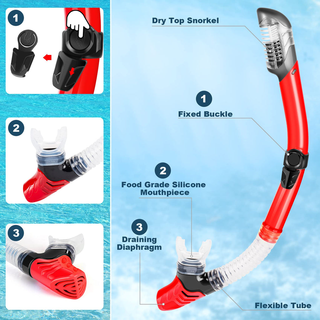 ZEEPORTE Mask Fin Snorkel Set with Adult Snorkeling Gear, Panoramic View Diving Mask, Trek Fin, Dry Top Snorkel +Travel Bags, Snorkel for Lap Swimming
